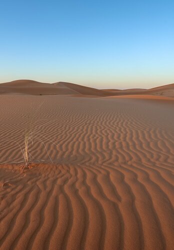 Ein Wüstenabschnitt bei Sonnenuntergang. Offroad Marokko | © 4x4 Exploring GmbH