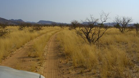 Eine sehr einladende sanfte Sandpiste durch die Steppe gegen den Sonnenuntergang. So wirkt auch eine Offroadtour fast romantisch. Offroad Namibia | © 4x4 Exploring GmbH