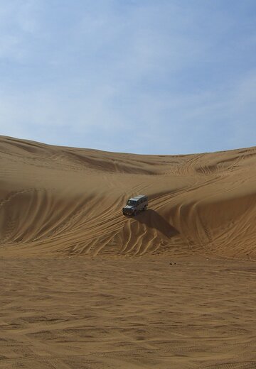 Ein Allradfahrzeug fährt eine sehr hohe Düne herunter. Offorad Oman | © 4x4 Exploring GmbH