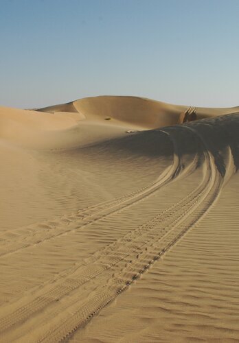 Nichts als Sand und Wüste. Das Abendteuer Allrad wird hier voll gelebt. Offroad Oman | © 4x4 Exploring GmbH
