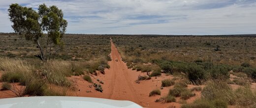 Track in der Great Sandy Dessert auf der Canning Stock Route | © 4x4 Exploring GmbH Schnurgerader Track auf der Canning Stock Route wie ein rotes Band | © 4x4 Exploring GmbH