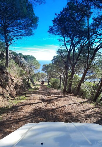 Offroad was das Herz begehrt. Felsige Abschnitte und sanfte Passagen unter der italienischen Sonne. Offroad Elba  | © 4x4 Exploring GmbH 