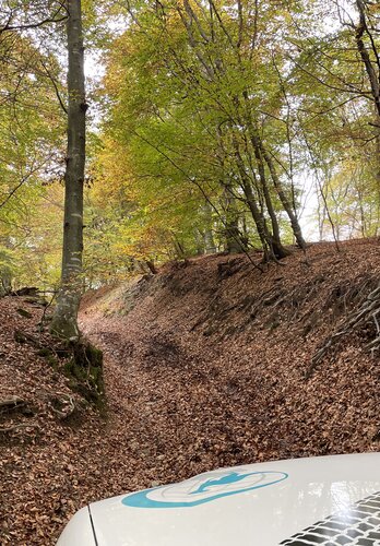Dur den weichen Waldboden mitten in der Natur können Fahrer und Fahrzeuge ihr Können beweisen. Offroad Lombardei  | © 4x4 Exploring GmbH 