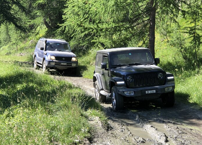 Auf sanften Trails geht die Reise weiter. Gute Bedingungen für optimales Fahren im Gelände. Offroad Südalpen | © 4x4 Exploring GmbH 