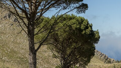 Die abwechslungsreiche Landschaft sorgt für viel Abwechslung und macht die Teilnehmer neugierig auf den nächsten Abschnitt. Offroad Sizilien. | © 4x4 Exploring GmbH 